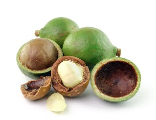 Macadamia Seed Oil